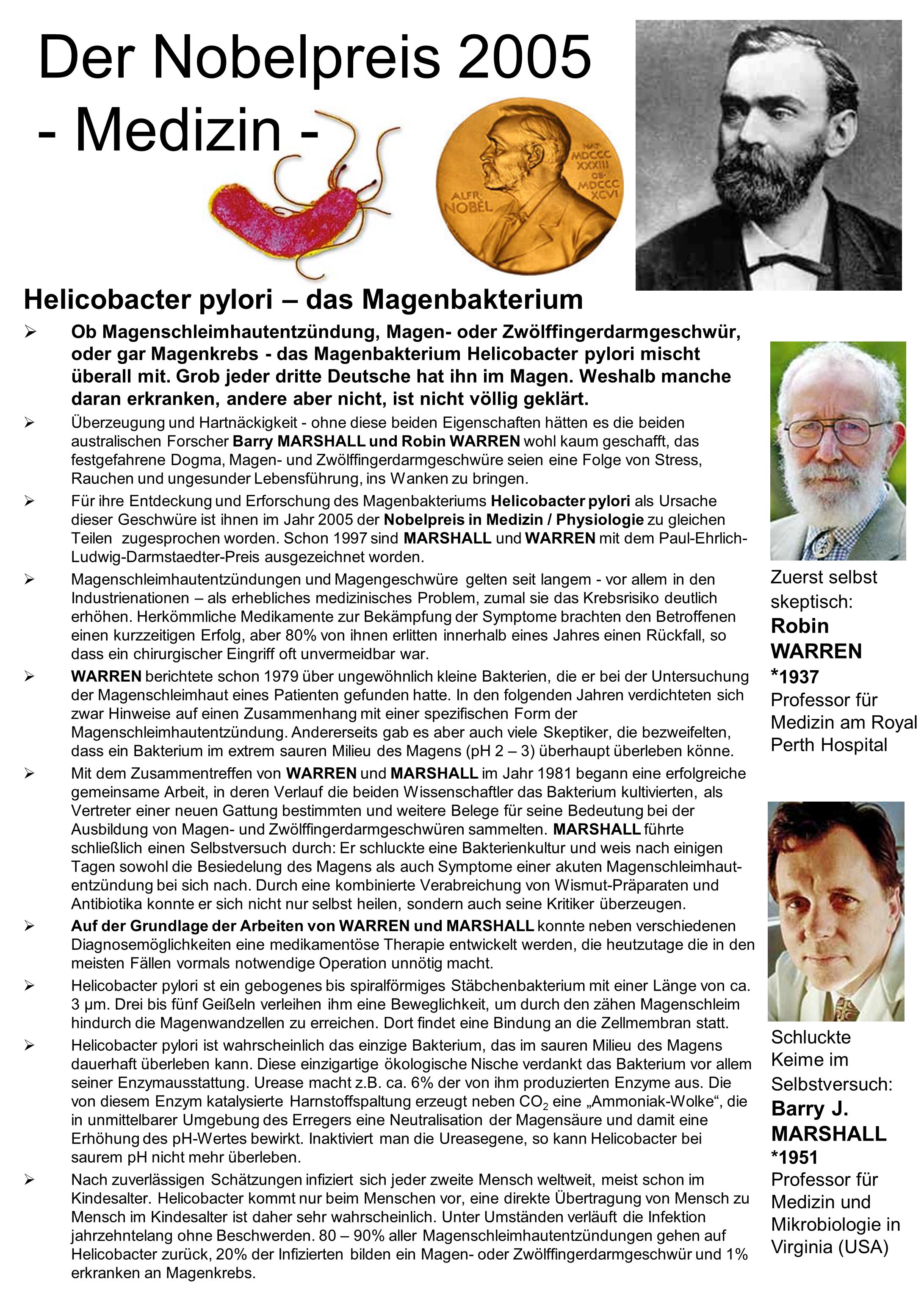 Das Glykokoll der Einfluss auf die Potenz